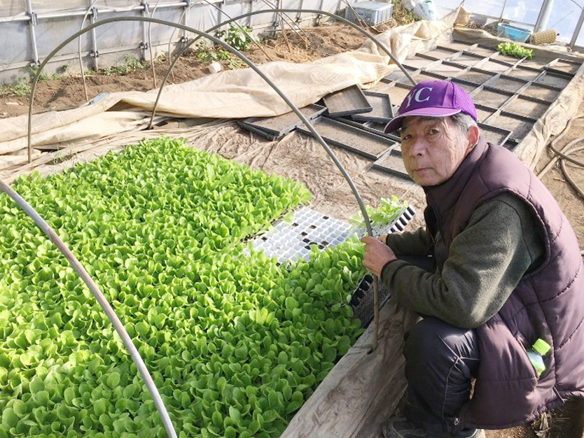 アキモのふるさと便り