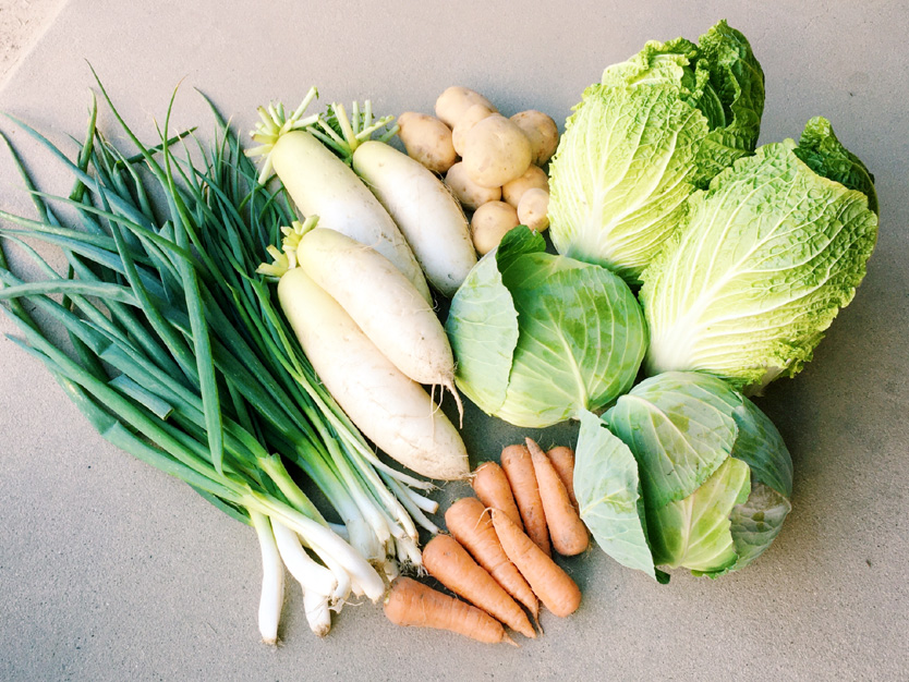 アキモの基礎研究