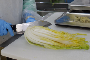おいしい発酵白菜漬けの製造工程