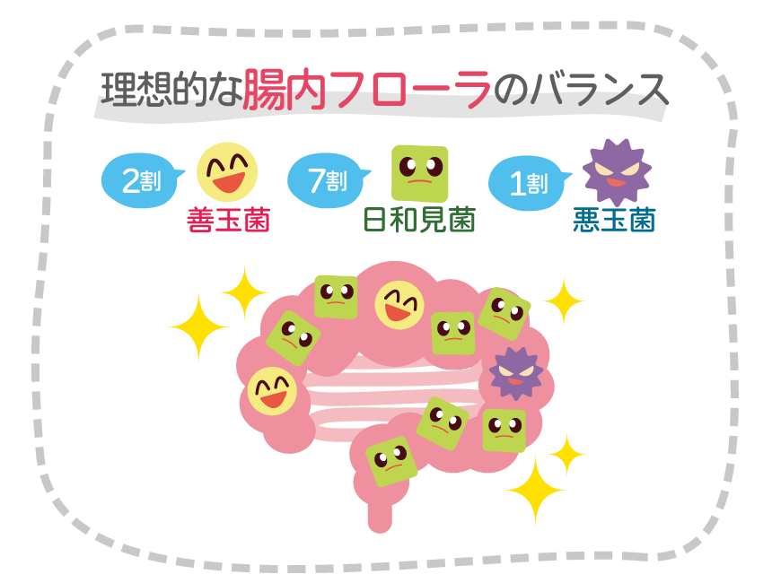 腸内細菌