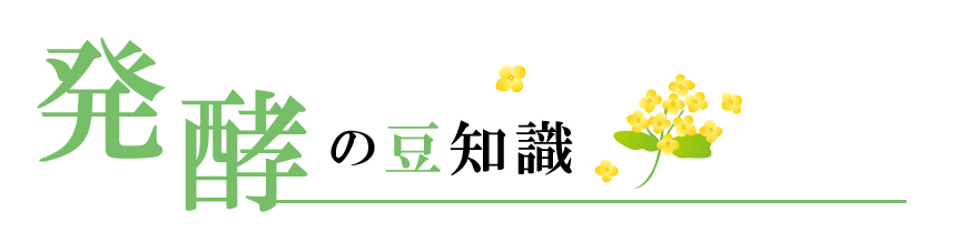 発酵の豆知識