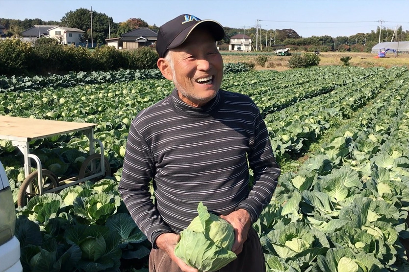 きゃべつ2022初冬・茨城県坂東市