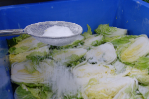 おいしい発酵白菜漬けの製造工程