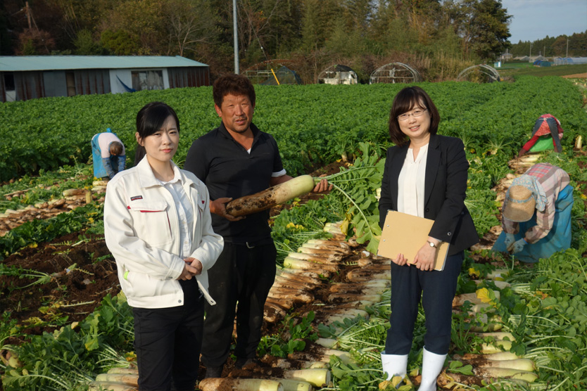 大根2018冬・茨城県行方市