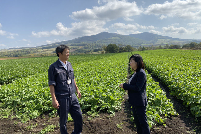 大根2019秋・北海道虻田郡留寿都村