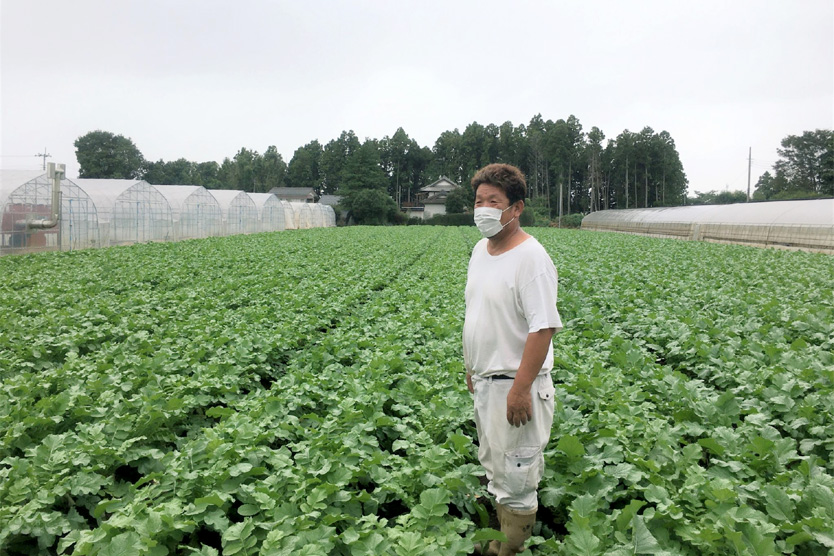 大根2022秋・茨城県行方市