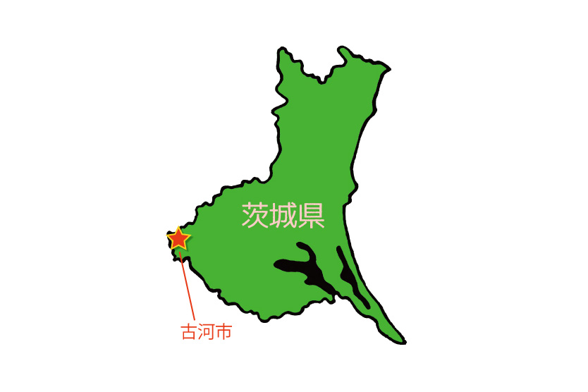 白菜2020冬・茨城県古河市