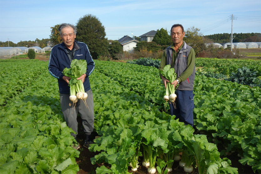 かぶ2018冬・茨城県行方市