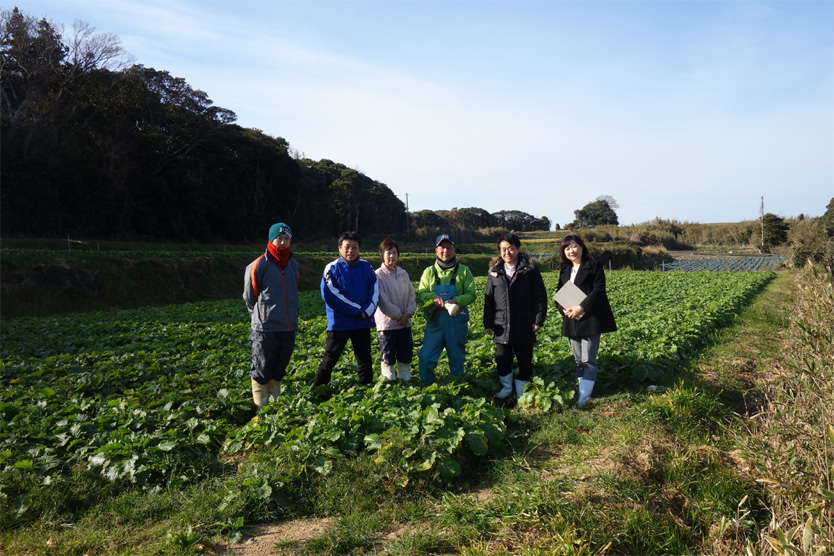 かぶ2019早春・愛知県渥美半島