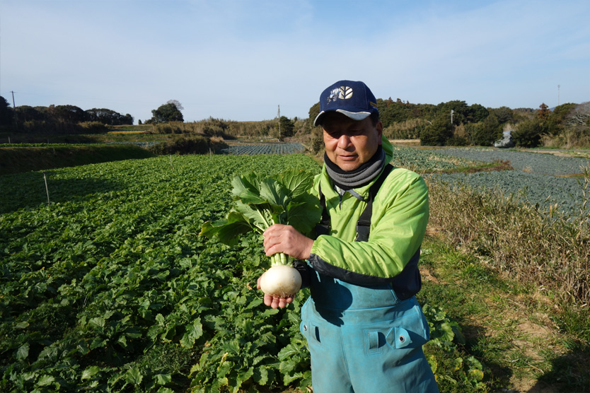 かぶ2019早春・愛知県渥美半島