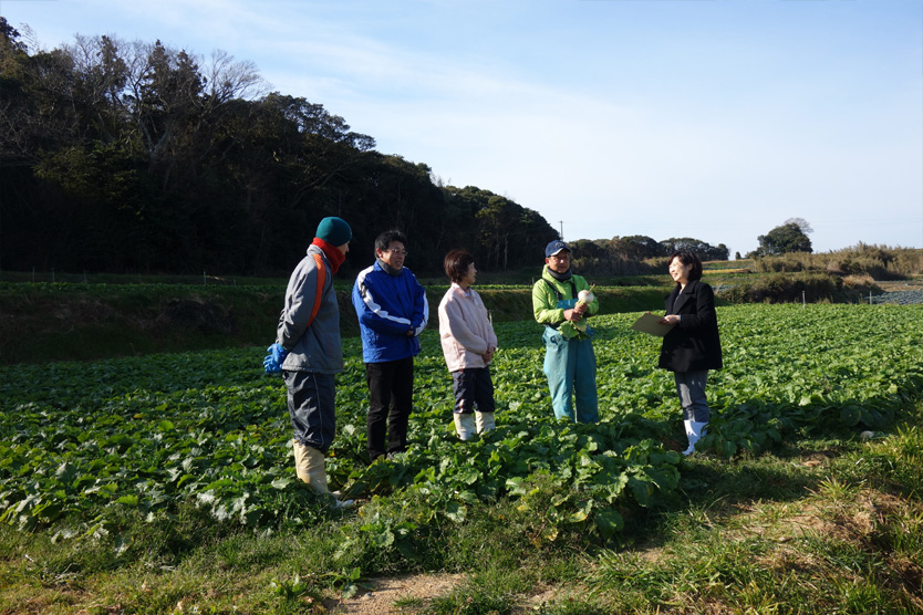 かぶ2019早春・愛知県渥美半島