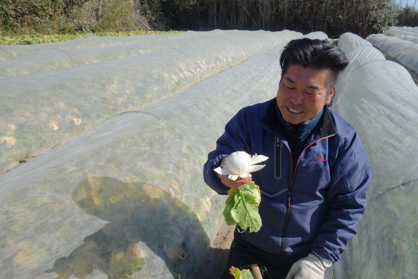 かぶ2019早春・静岡県御前崎市