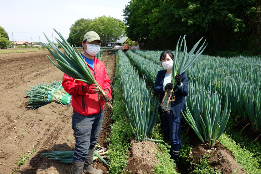 長ねぎ2021春・栃木県小山市