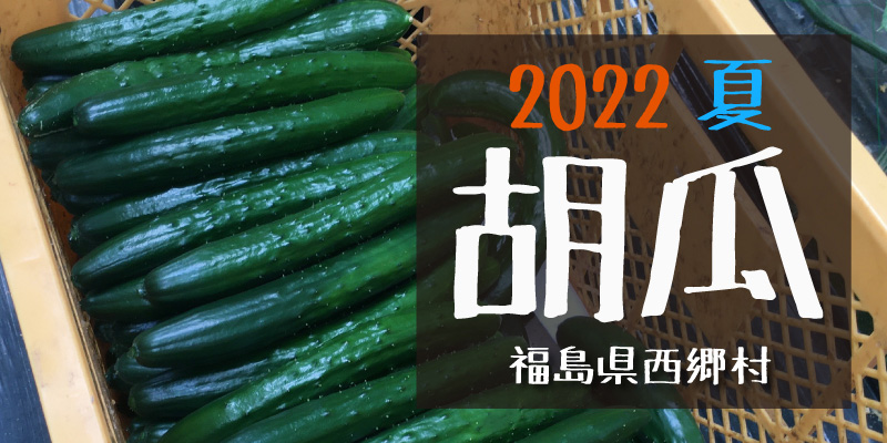 2022夏 胡瓜(福島県西郷村)