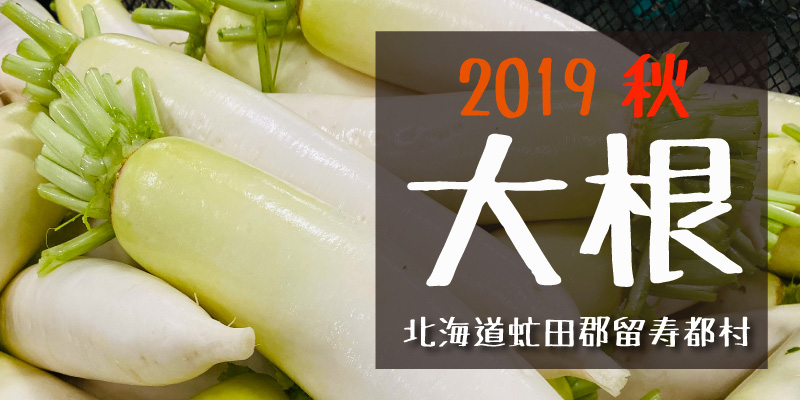 2019秋 大根　(北海道虻田郡留寿都村)
