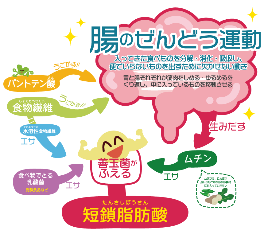 腸活WEBページ2-1