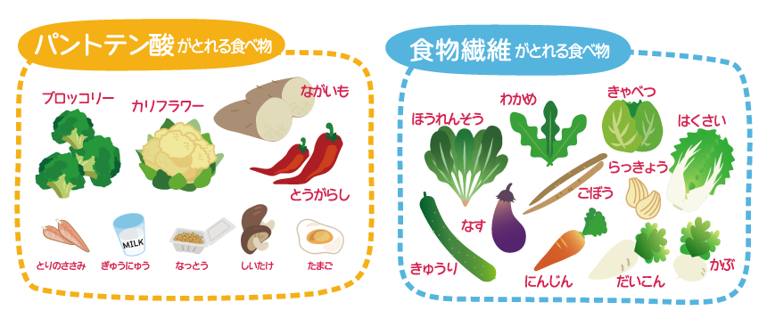 腸活WEBページ2-3