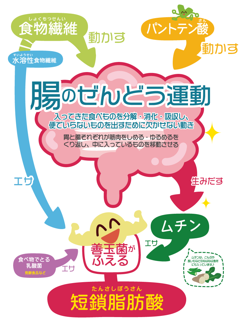 腸活WEBページ2(モバイル用)1