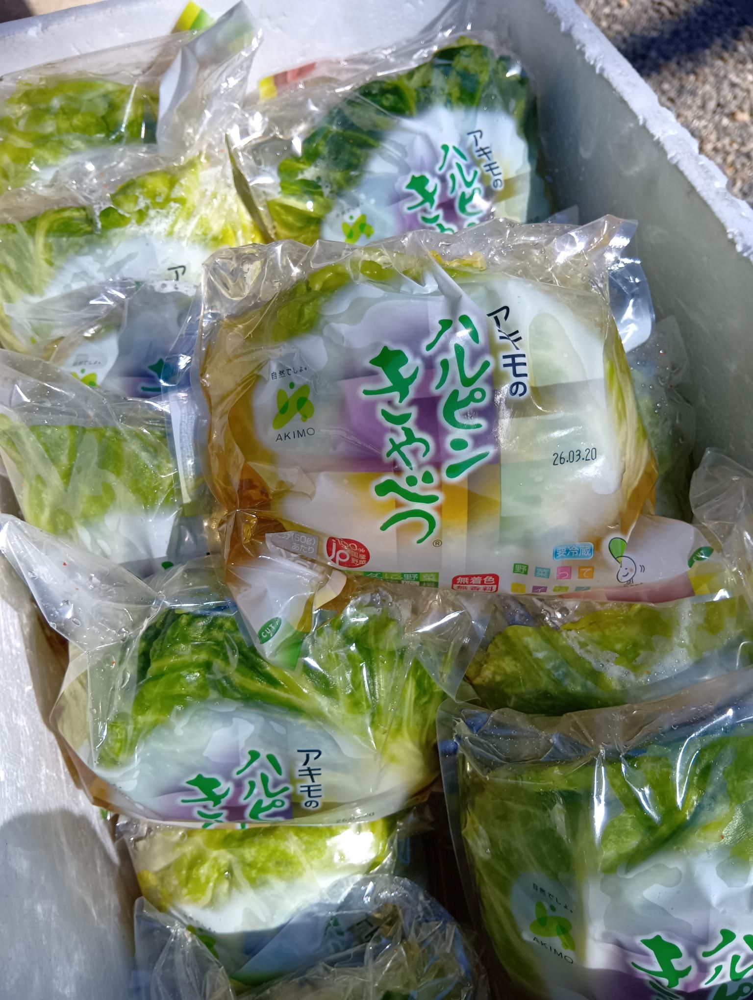 アキモ手作りキムチ教室