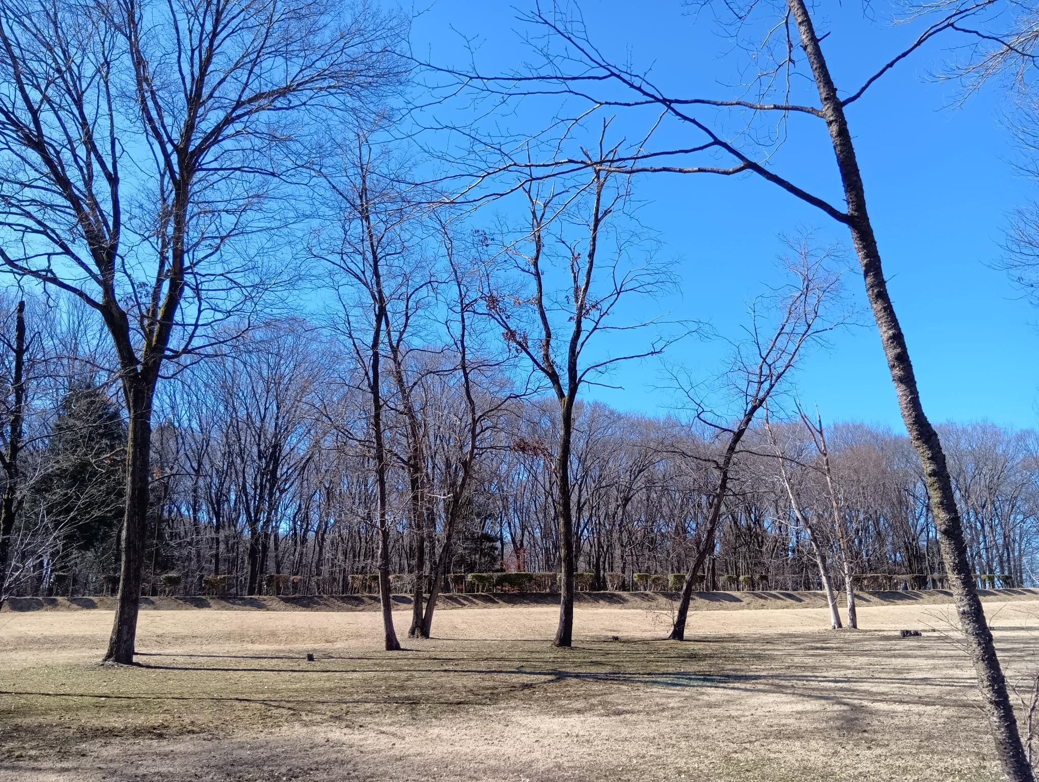 アキモ手作りキムチ教室