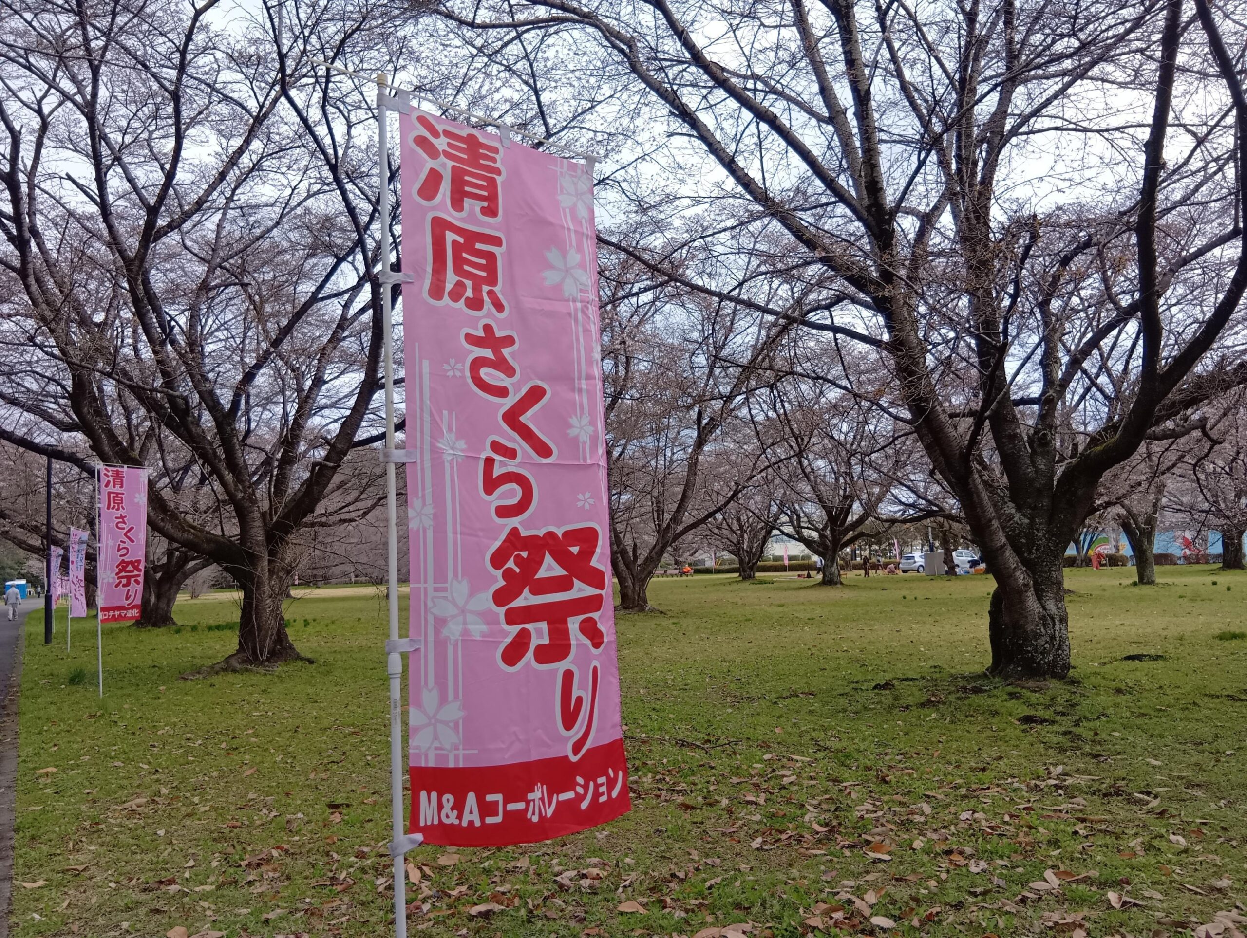 アキモ手作りキムチ教室